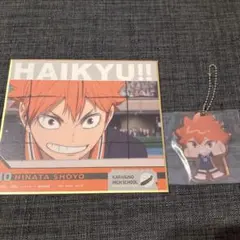 ハイキュー‼︎ ゴミ捨て場の決戦　一番くじ　日向翔陽セット