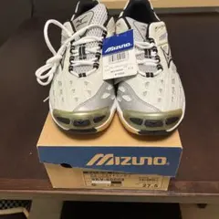 Item thumbnail for item fd6b5746-883e-4c44-ab9c-7dfa368a803e