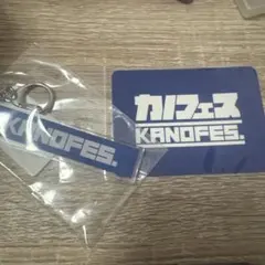 Item thumbnail for item 65e0f892-784e-4558-aadc-412b4dcc6d45