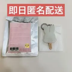 セブチ SEVENTEEN MINITEEN エスクプス スンチョル キーリング