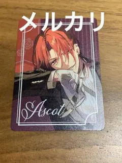 オトメイト　オトマ オトふゆ ミストニアの翅望 アスコット　パルカ