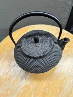 690 岩鋳 南部鉄器 急須兼用鉄瓶 茶こし付き - メルカリ