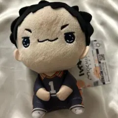 ハイキュー もちぴこ ぬいぐるみ 澤村大地