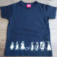 OJICO ペンギン Tシャツ 黒6A　100〜110