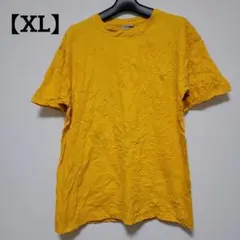 Item thumbnail for item d51e2027-480f-4c5d-859b-91110bbac286