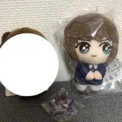 名探偵コナン 灰原哀　2点セット ぴょことも マスコット　マグネット シート