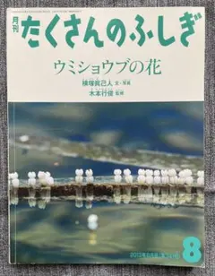 月刊　たくさんのふしぎ 2013年8月号