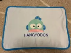 ★メルカリ便★未使用 ハンギョドン ペットケット