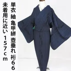 新古品！夏塩沢＊本場塩沢＊居敷当て付き＊夏物＊着物＊防水済み