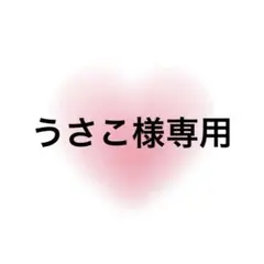 うさこ様専用