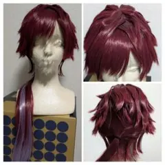 にじさんじ ローレン ウィッグ コスプレ - メルカリ