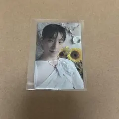 SEVENTEEN メンバーシップキット トレカ ディノ