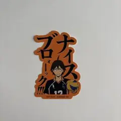 ハイキュー!! 山口忠