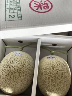 着いたら食べ頃 「太陽の華」富良野メロン 2玉 品種：ティアラ - メルカリ