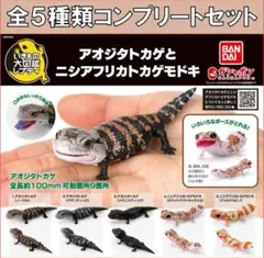 ◇イノカミ シカルナ工房 ソフビ 新品未開封 イノシシ タタリ神 - メルカリ