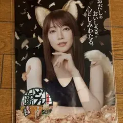 日清のどん兵衛 クリアファイル 吉岡里帆　どんぎつねのサムネイル