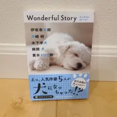 Wonderful Story