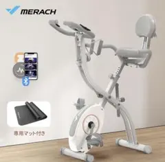 ほぼ未使用】アルインコ (ALINCO) フィットネスバイク ライトグリーン 