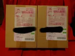 【 輸送箱未開封】 ブラックボルト ホワイトフレア 各1BOX