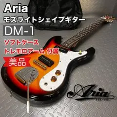 ブランド不明　モズライト　エレキギター　ビザール　ケース付き ブランド不明 モズライト エレキギター ビザール ケース付き