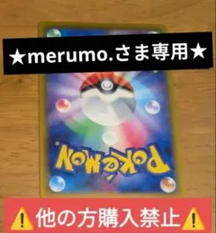 ★merumo.さま専用★⚠️他の方購入禁止⚠️