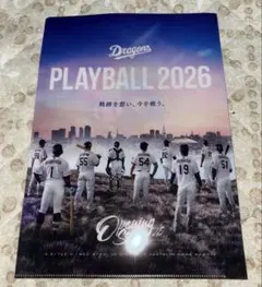 中日ドラゴンズクリアファイル
