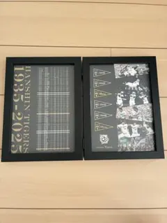 阪神タイガース 2025 シーズンシート記念品 90周年記念フレームのサムネイル