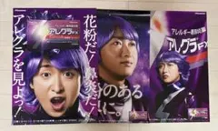 大野智 非売品 ポスター アレグラ3種セット
