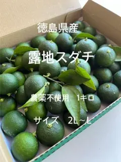 徳島県産 露地スダチ 1キロ 農薬不使用のサムネイル