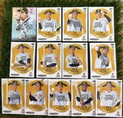 福岡ソフトバンクホークス レギュラーカード13枚 2026 ルーキーエディション