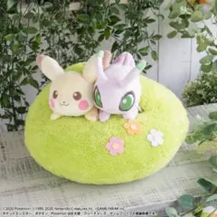 2020Pokemon Collectionくじ　ラストワン賞