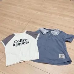 サイズ110 半袖Tシャツ　テータテート　２枚セット
