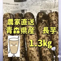 농가 직송 아오모리 현산 참마로 체력 UP ☆