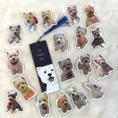 Item thumbnail for item 032a4681-cc26-4e8e-bea9-65c9ff454939