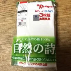 グンゼ スパンブリーフ 前開き 3枚組