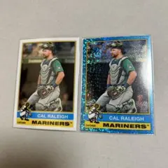 Item thumbnail for item 2c70b0c2-468f-4858-901e-af2593a94014