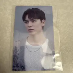 seventeen セブチ　バーノン　愛知　会場トレカ