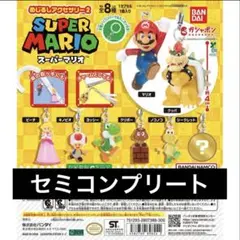 ✨ スーパーマリオ めじるしアクセサリー2 セミコンプ ✨