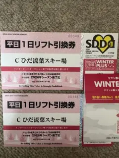 C ひだ流葉スキー場 1日リフト引換券のサムネイル