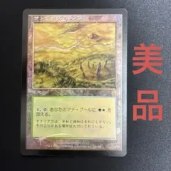 MTG ラースの果て 伝説の土地 フォイル 日本語版 foil | Mercari