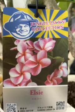 Blue様 リクエスト 2点 まとめ商品