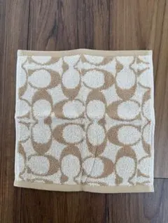 Item thumbnail for item 6a7d04f7-2642-4b01-995c-7b7bb7e97d38