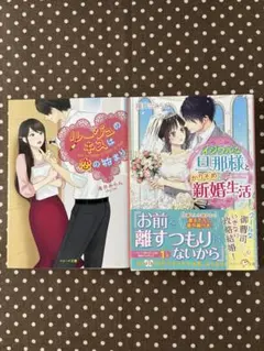 ベリーズ文庫2冊セット　滝井みらん