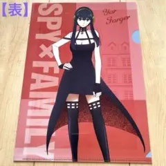 スパイファミリー A4クリアファイル ビックサイズ色紙 セット