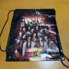 EXILE THE REASON ビニールバック