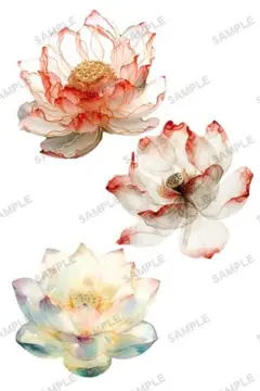 NO. 93 コラージュ　蓮　蓮の花　マット　写真Lサイズ 5枚入り