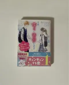 野いちご文庫本