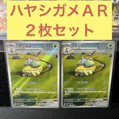 ハヤシガメＡＲ２枚セット いあいぎり こうらでぶつかる