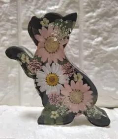 固まるハーバリウム ねこの中のお花畑