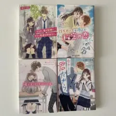 野いちご文庫4冊セット